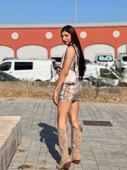  TRANS LATINA CALIENTE