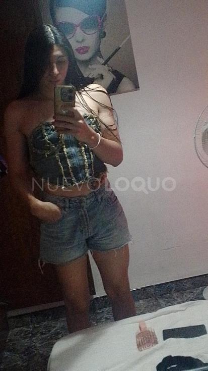 NuevoLoquo2