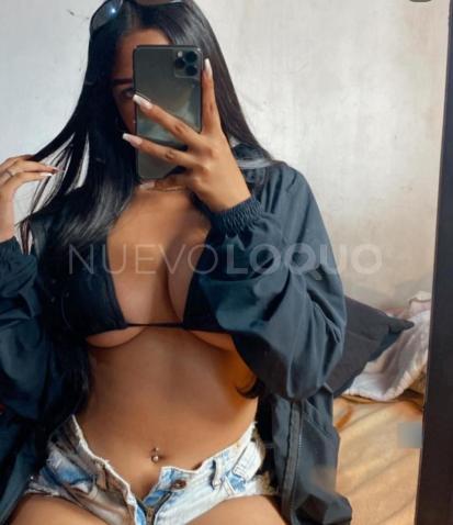NuevoLoquo2