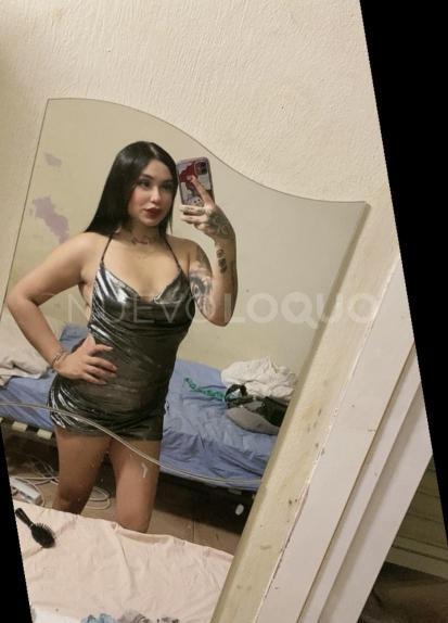 NuevoLoquo2