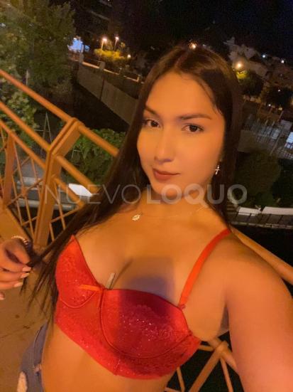 NuevoLoquo0