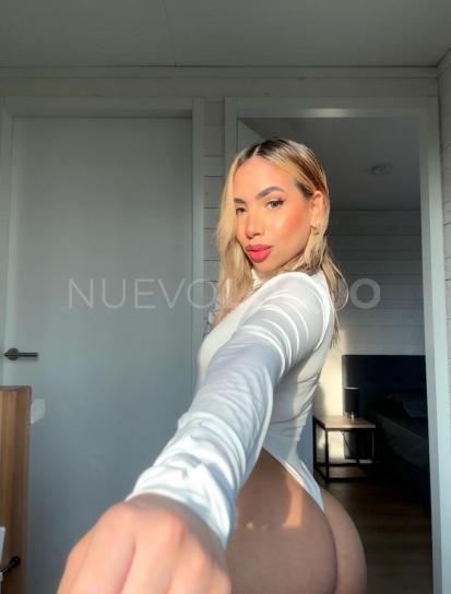 NuevoLoquo3