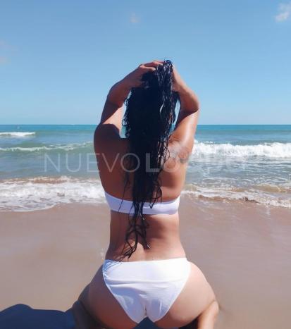 NuevoLoquo2