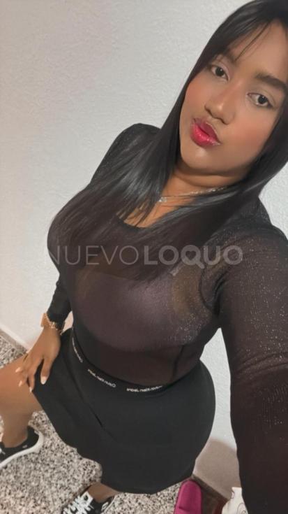 NuevoLoquo3