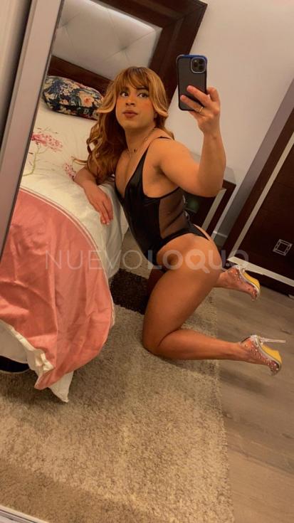 NuevoLoquo2