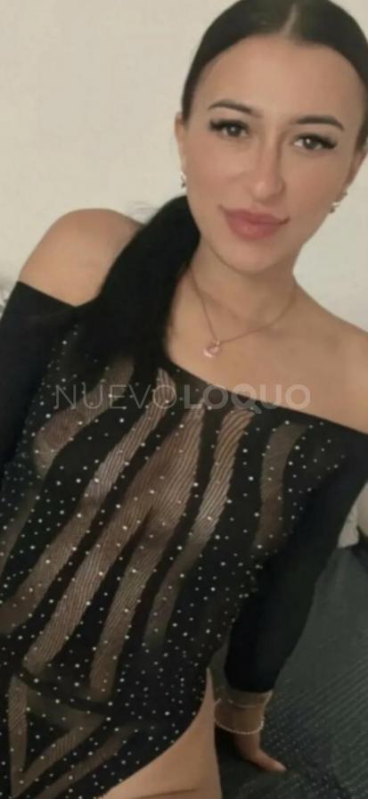 NuevoLoquo1