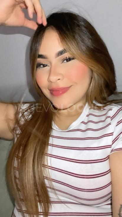 NuevoLoquo2