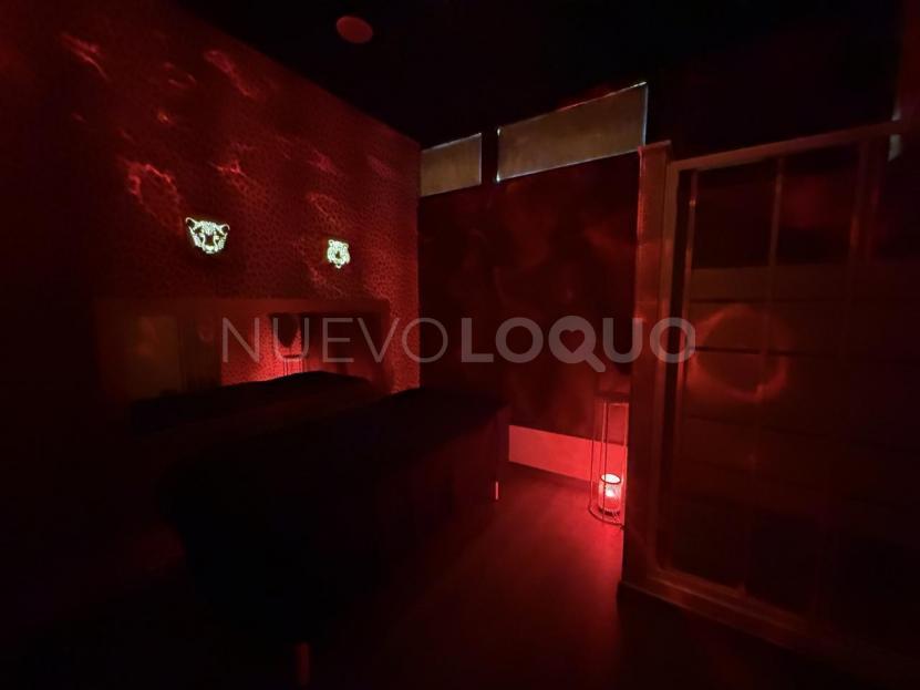 NuevoLoquo3