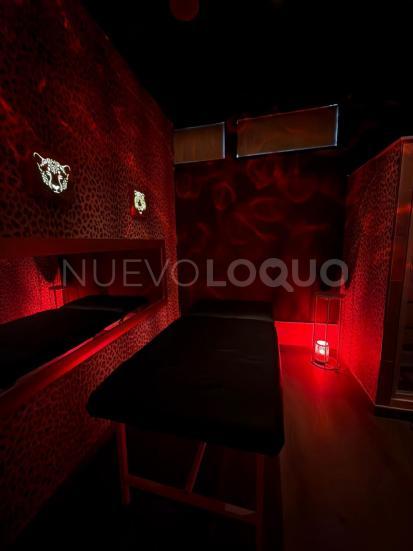 NuevoLoquo5