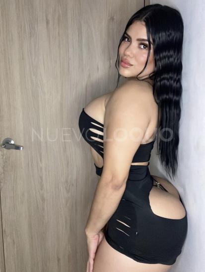 NuevoLoquo3