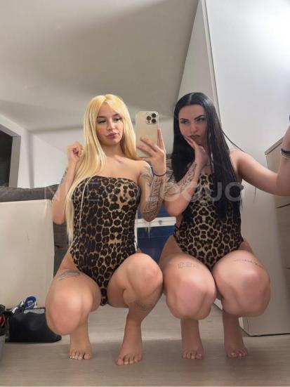 NuevoLoquo1