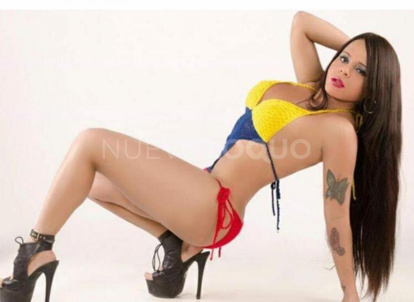 NuevoLoquo0