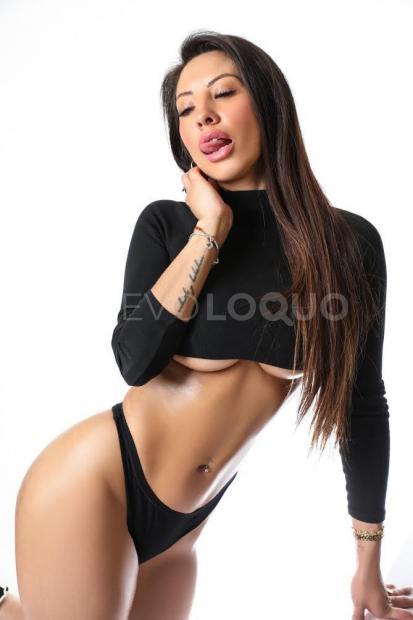 NuevoLoquo3