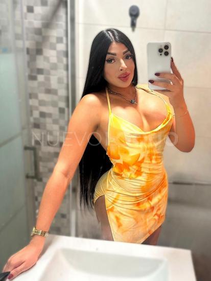 NuevoLoquo2
