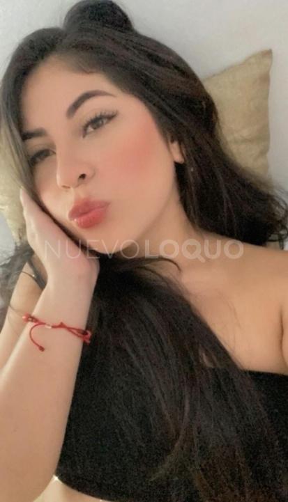NuevoLoquo3