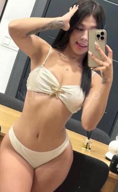 NuevoLoquo2