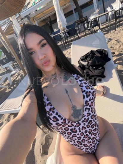 NuevoLoquo3