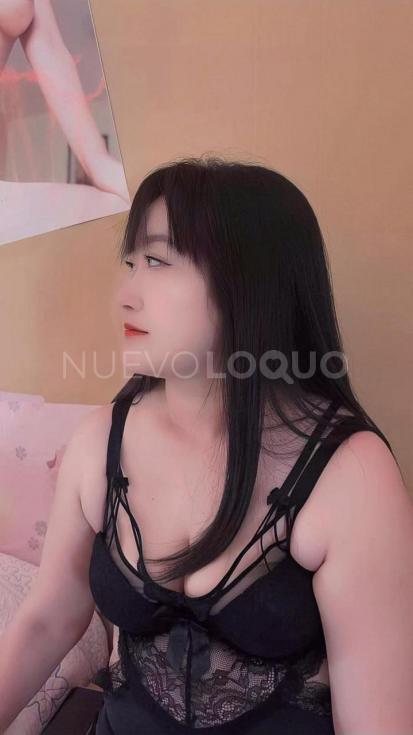 NuevoLoquo2