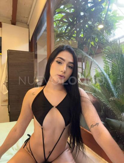 NuevoLoquo3