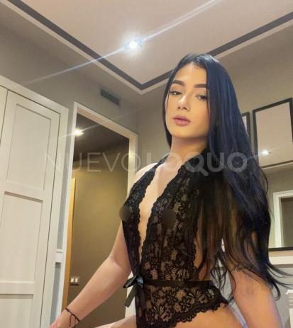 NuevoLoquo5