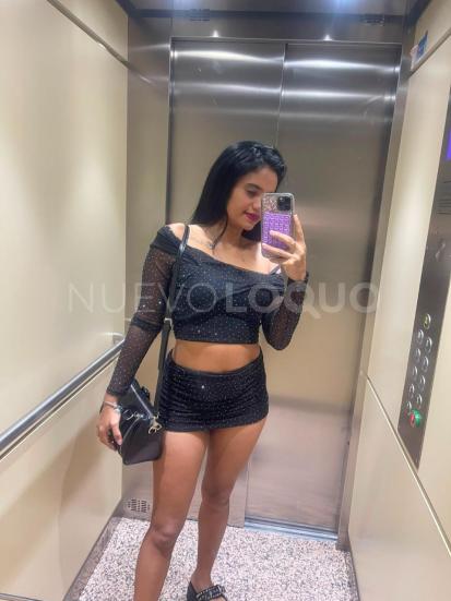 NuevoLoquo3