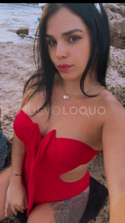 NuevoLoquo2