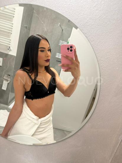 NuevoLoquo2