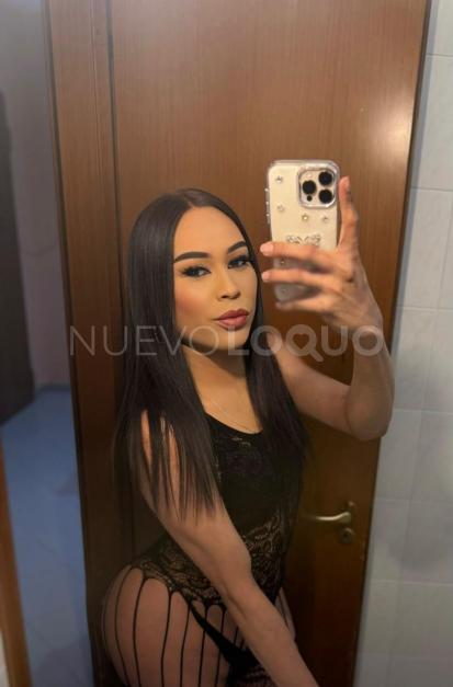 NuevoLoquo3