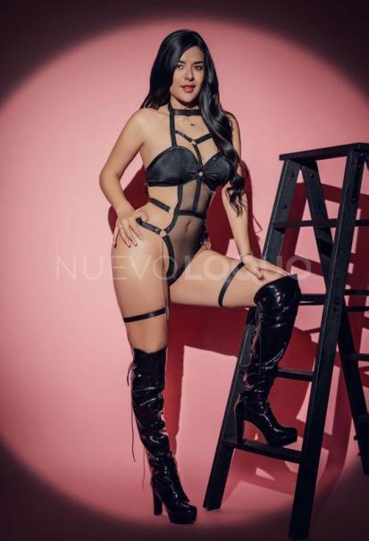 NuevoLoquo1