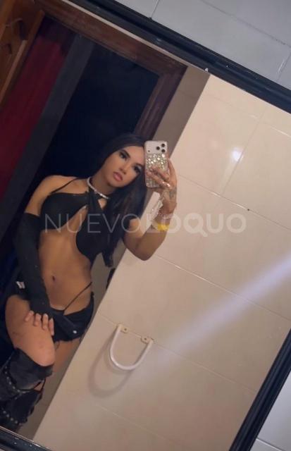 NuevoLoquo1