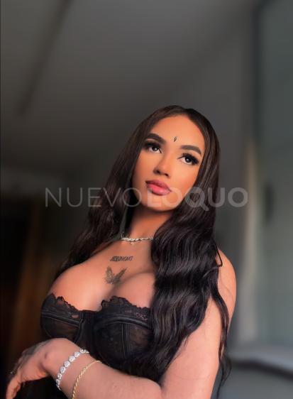 NuevoLoquo3