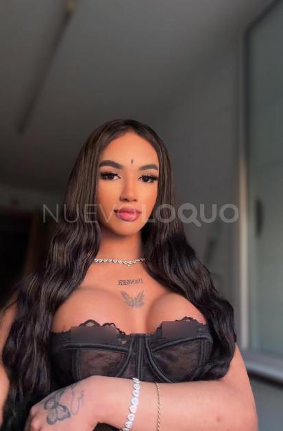 NuevoLoquo4