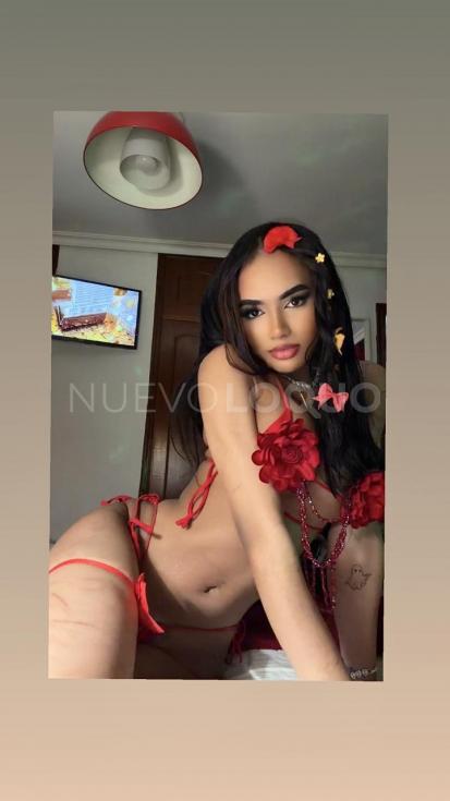  NOVEDAD, SUPER CARIÑOSA