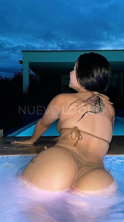 NuevoLoquo3