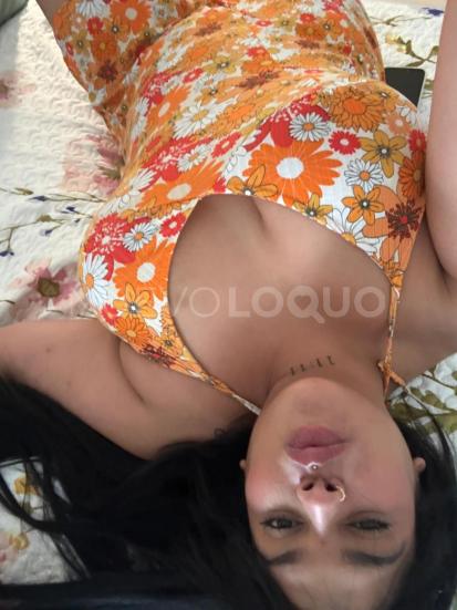 NuevoLoquo3
