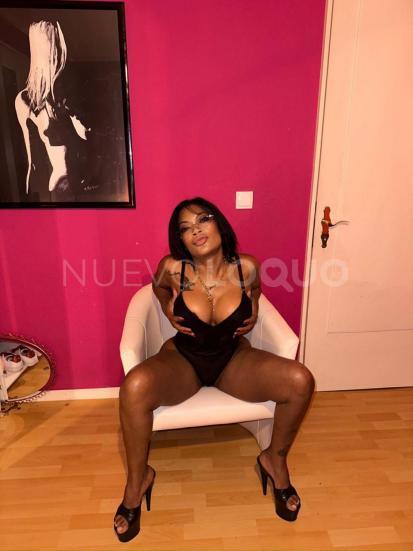 NuevoLoquo1