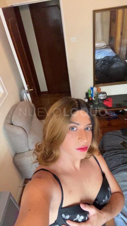 NuevoLoquo1