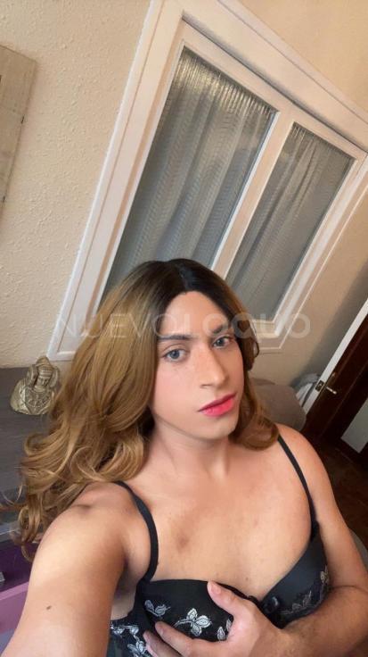 NuevoLoquo2