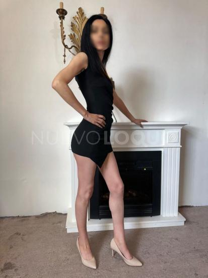 NuevoLoquo1