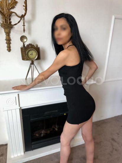 NuevoLoquo3