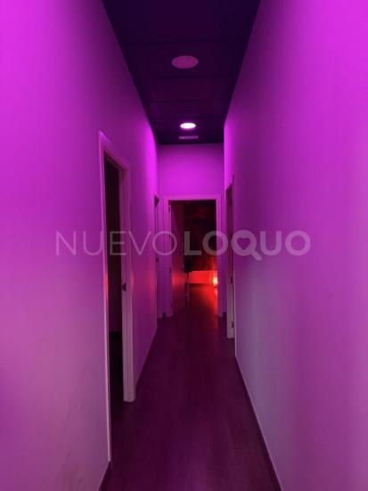 NuevoLoquo1