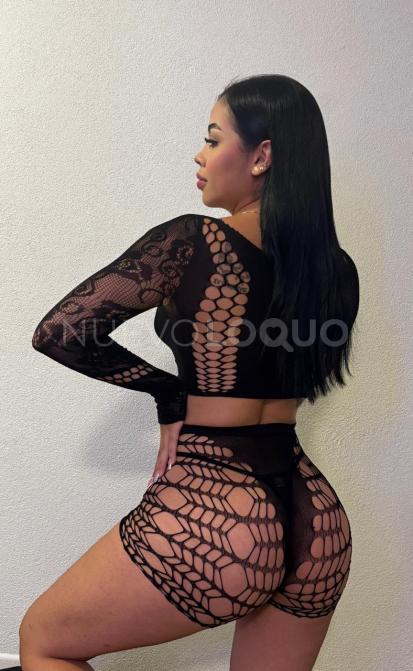 NuevoLoquo2