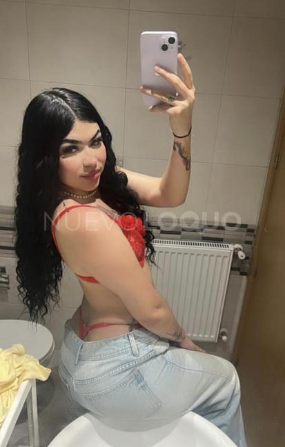 NuevoLoquo3