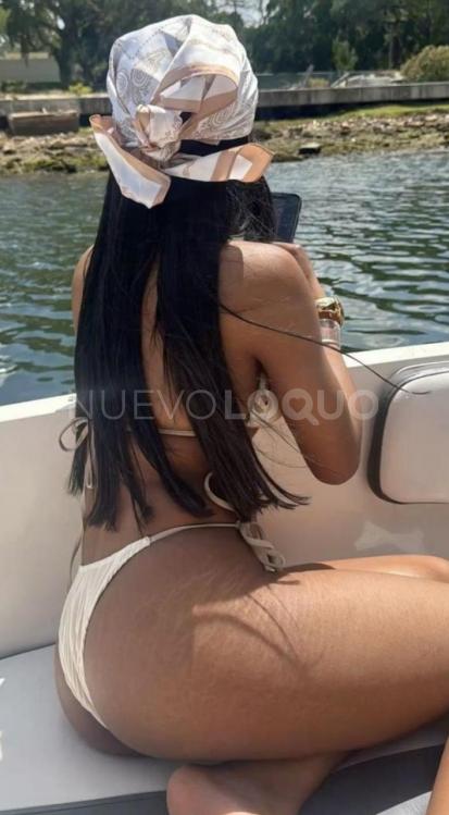 NuevoLoquo3
