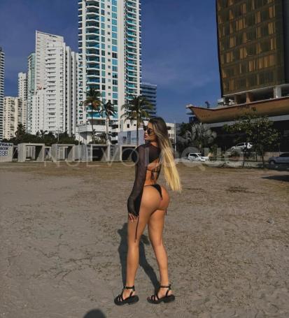NuevoLoquo1