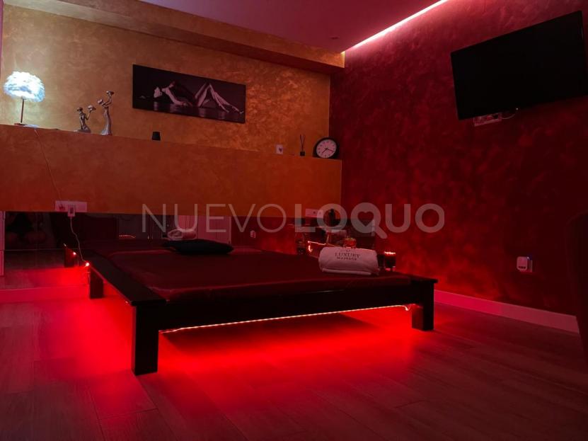 NuevoLoquo5