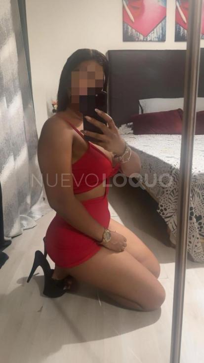 NuevoLoquo2