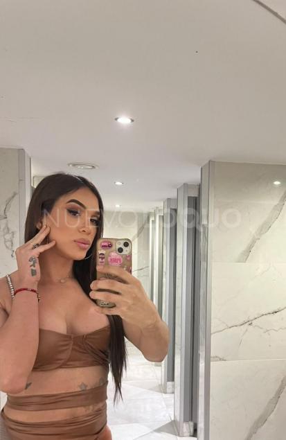 NuevoLoquo3