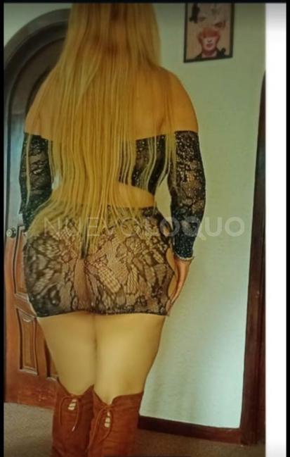NuevoLoquo3