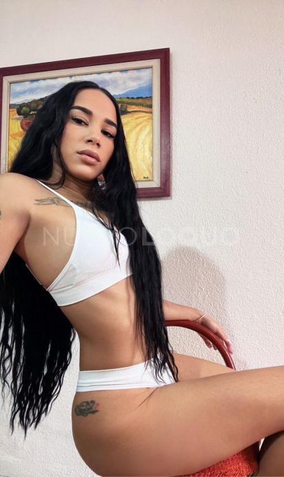 NuevoLoquo1